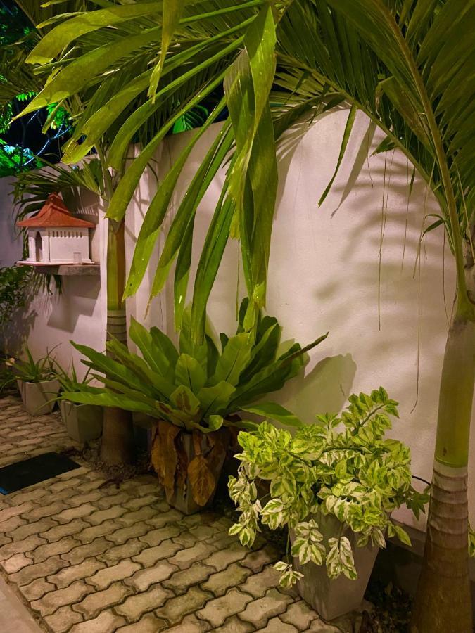 היקדואה Guesthouse Bodensee מראה חיצוני תמונה